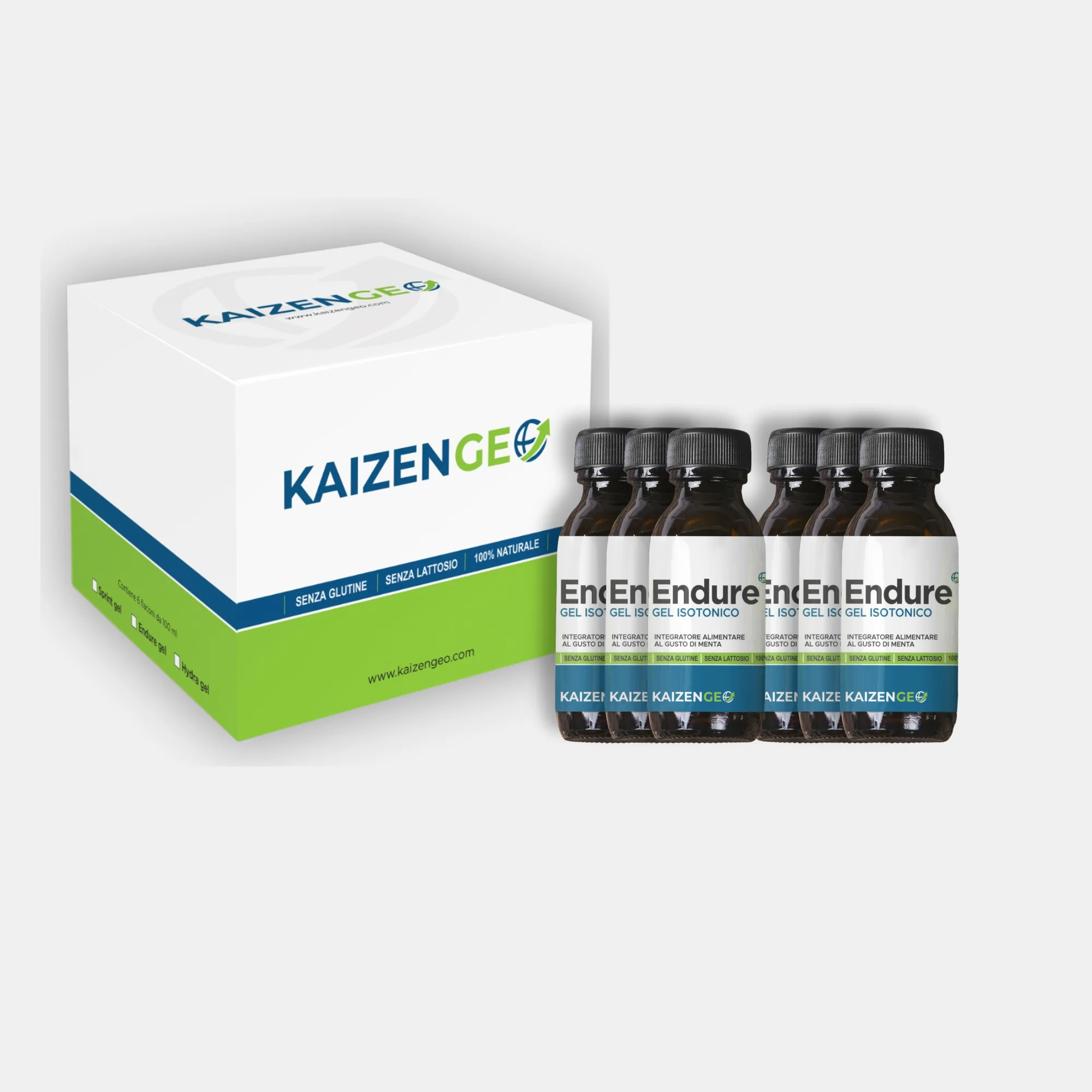 KaizenGeo Endure